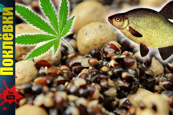 Гидра кракен